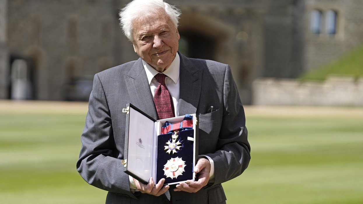 David Attenborough 'completely overwhelmed' as he thanks fans for birthday wishes ahead of 100th