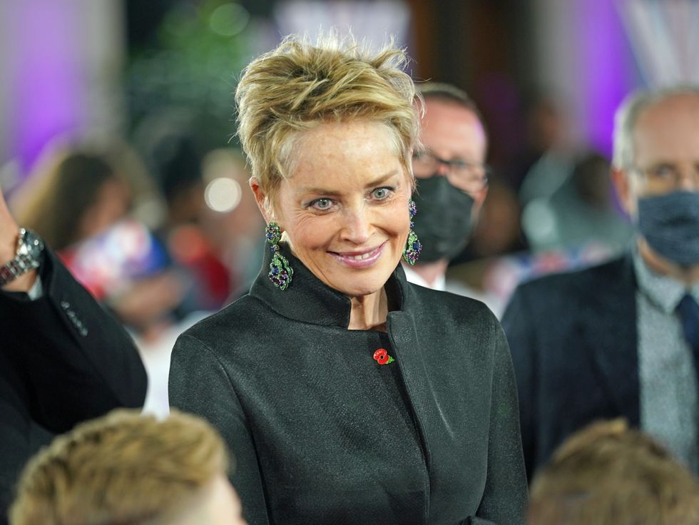 Sharon Stone says Joe Rogan is ‘risking people’s lives with his idiocy’ on Covid