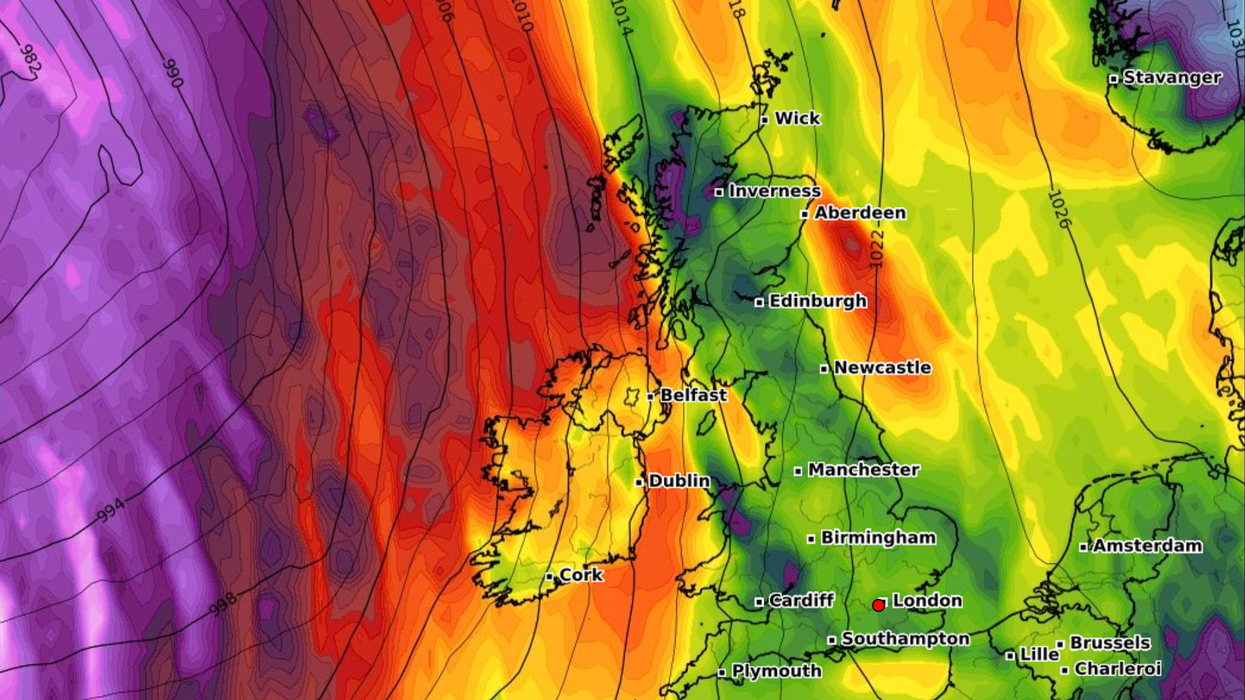 UK weather forecast: Urgent hay-fever warning issued as Britain set for 'pollen explosion'
