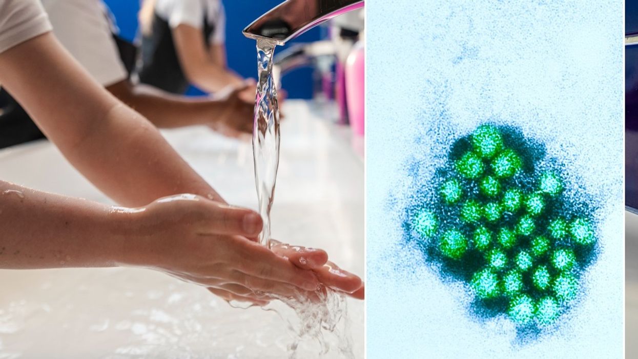 Norovirus and children washing hands in school