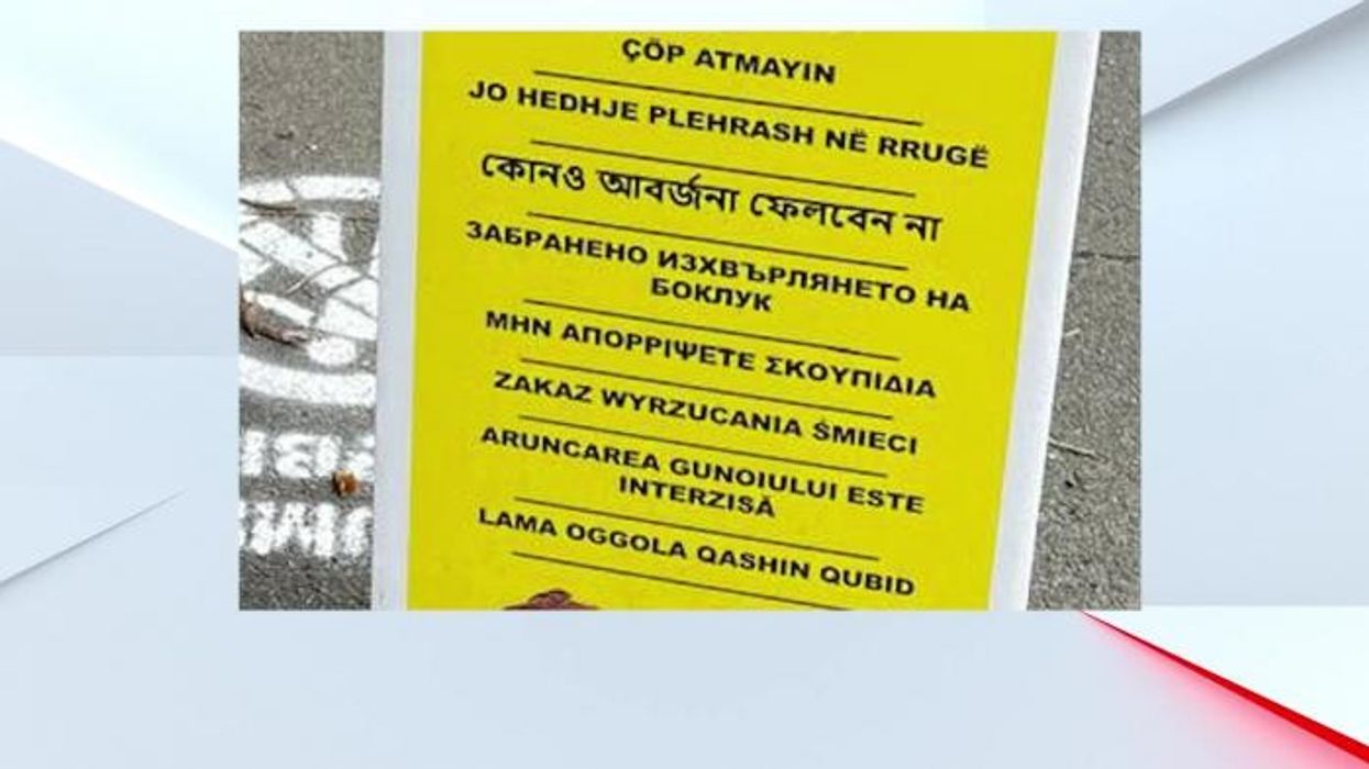 Multicultural signs spark FURIOUS debate as GB News guest demands 'just speak in English!'