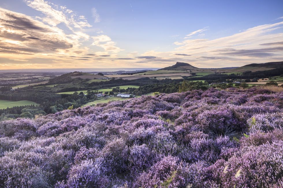 North York Moors with beautiful roseberry topping