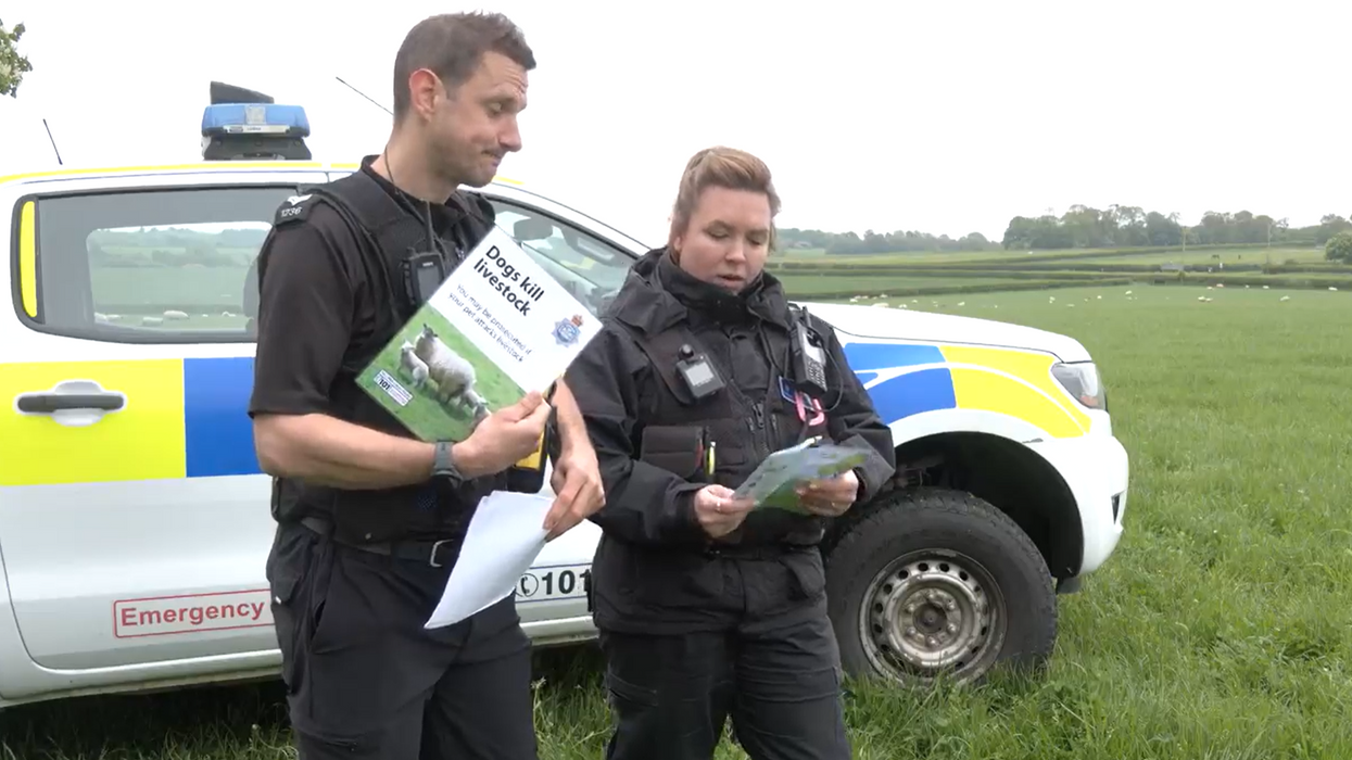 North Yorkshire Police is urging all dog owners to keep their pet leashed wherever livestock may be nearby