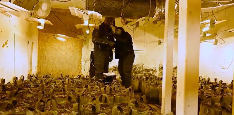 Northampton police uncovered one of the biggest cannabis farms discovered in years, hidden inside a disused nightclub