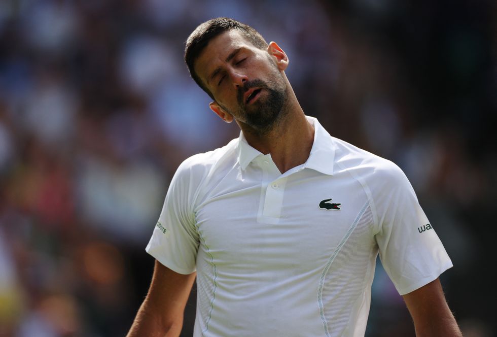 Novak Djokovic is bidding for a record-equalling eighth Wimbledon title