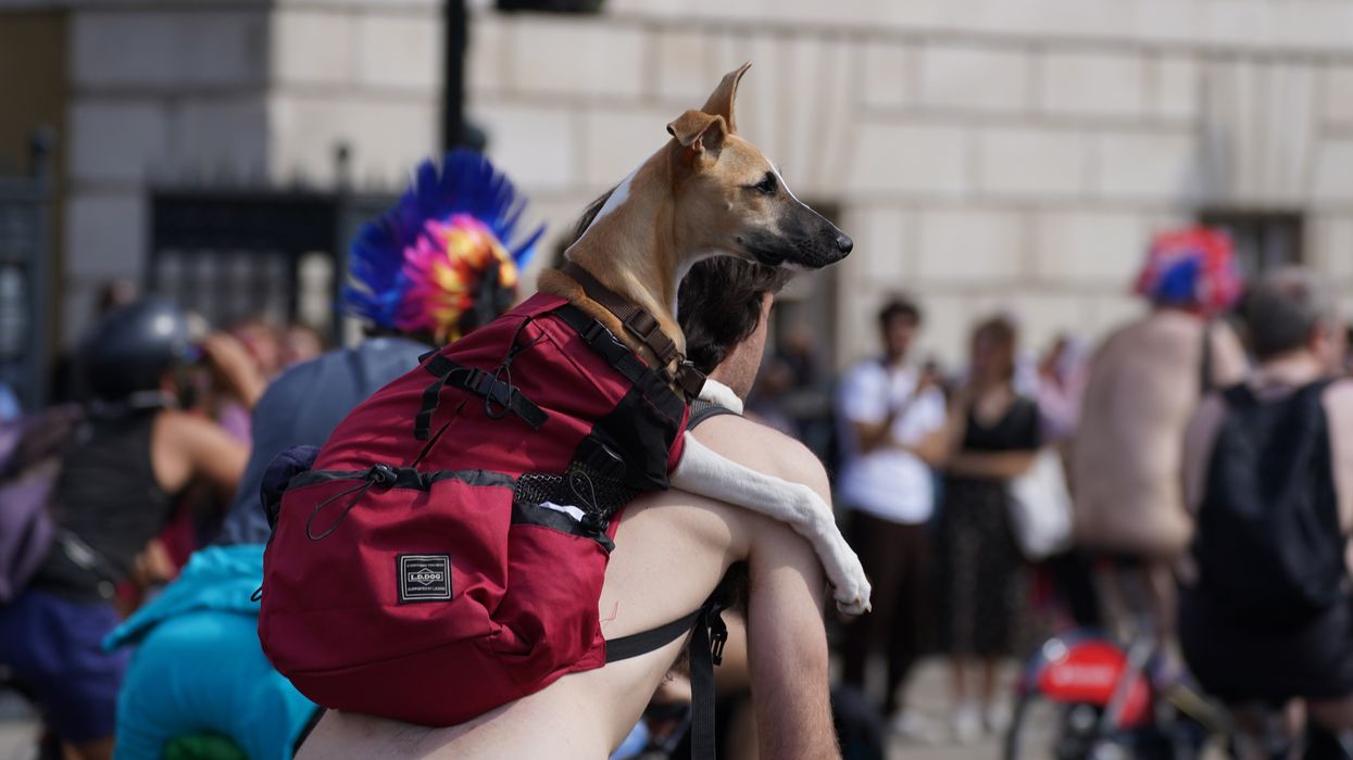 Nude man on bike with dog