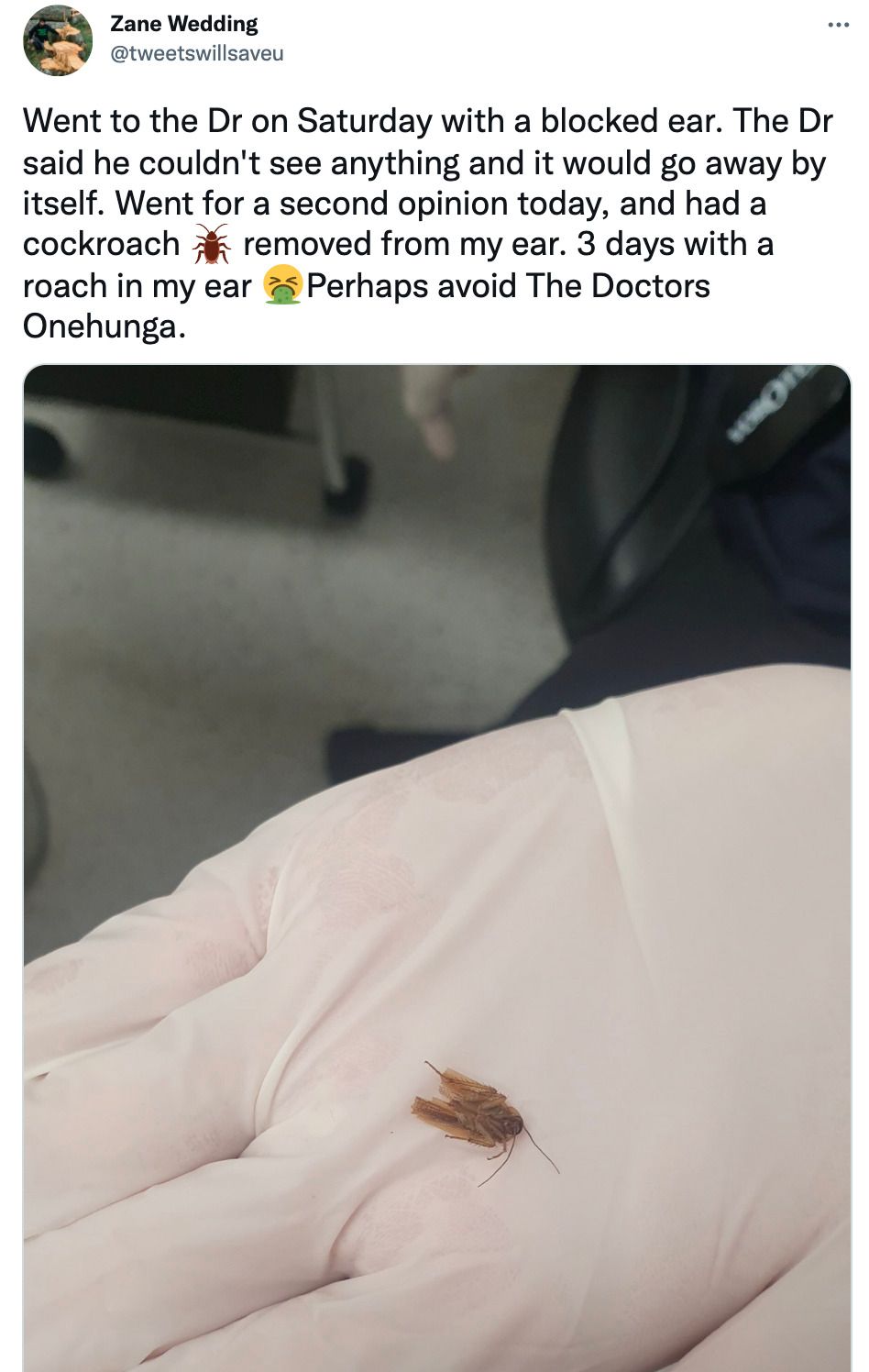 Cockroach found living in man’s ear for three days in New Zealand