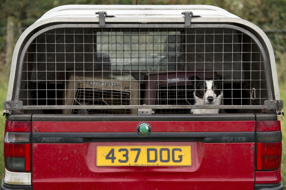 Number plate