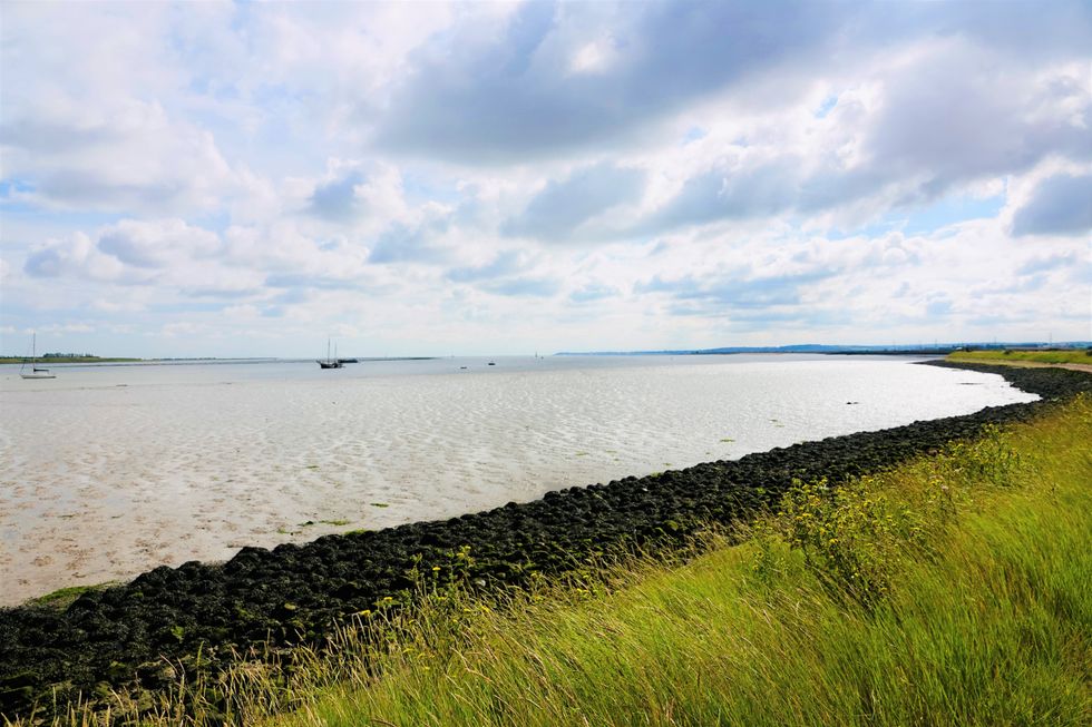 Oare Marshes Nature Reserve