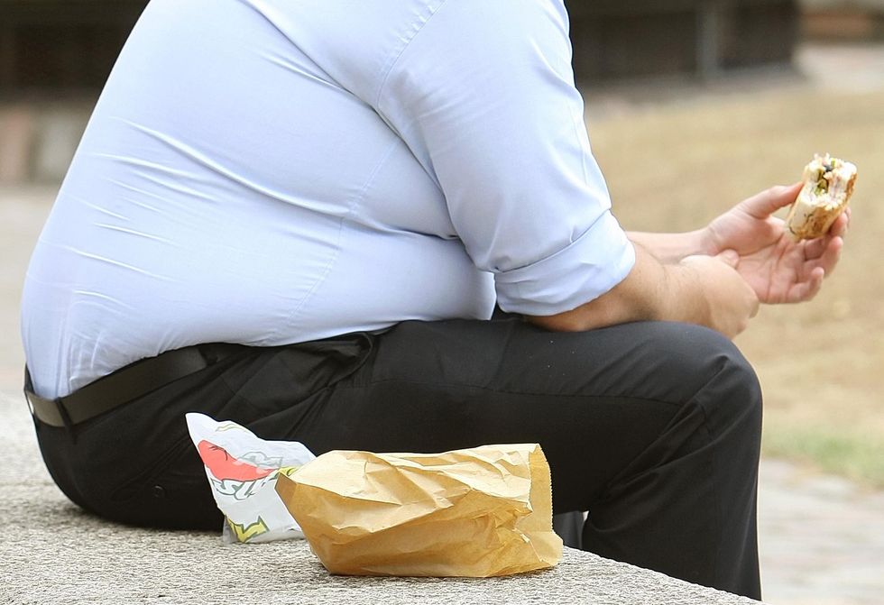 An obese man eats a sandwich on a bench