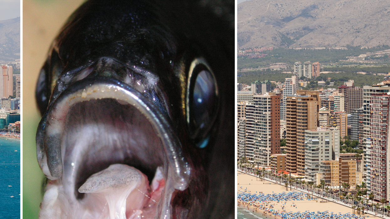 Obladas superimposed on Benidorm beach