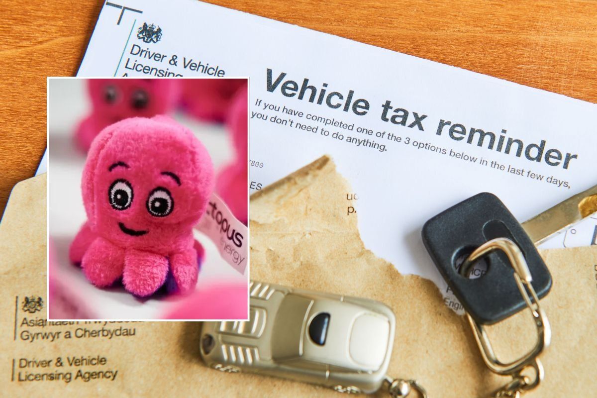 Octopus Energy logo and a DVLA vehicle tax reminder letter