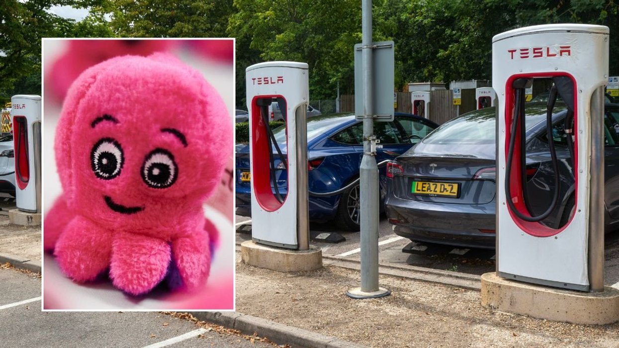 Octopus Energy logo and a group of Tesla electric vehicles charging
