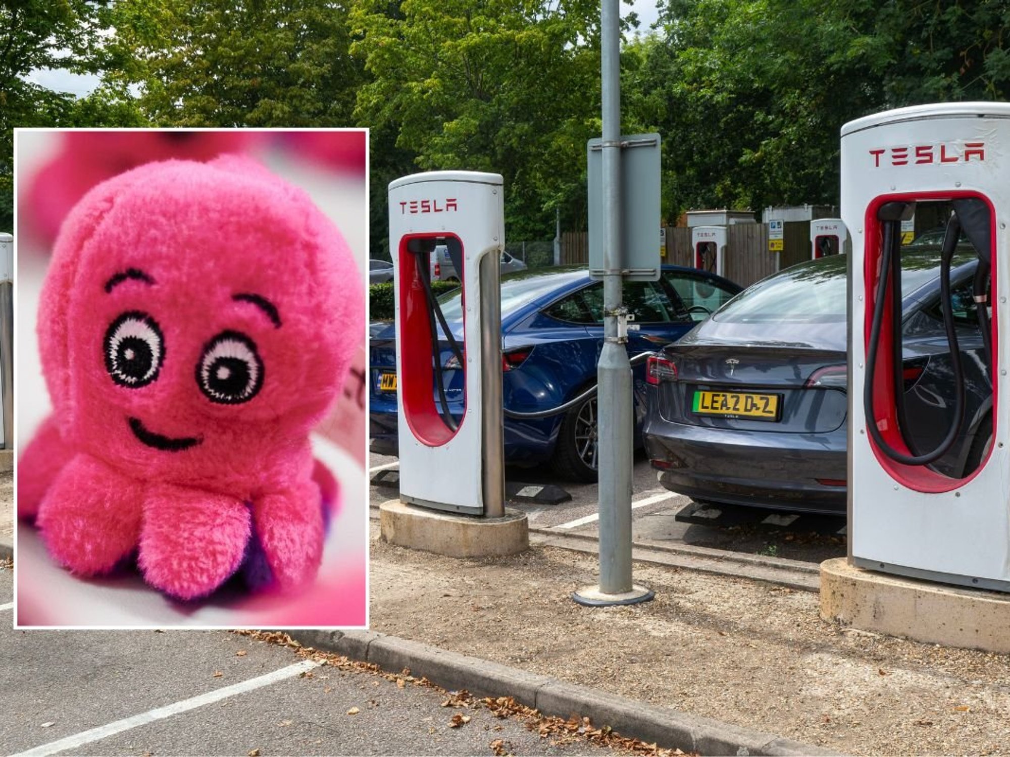 Octopus Energy logo and a group of Tesla electric vehicles charging