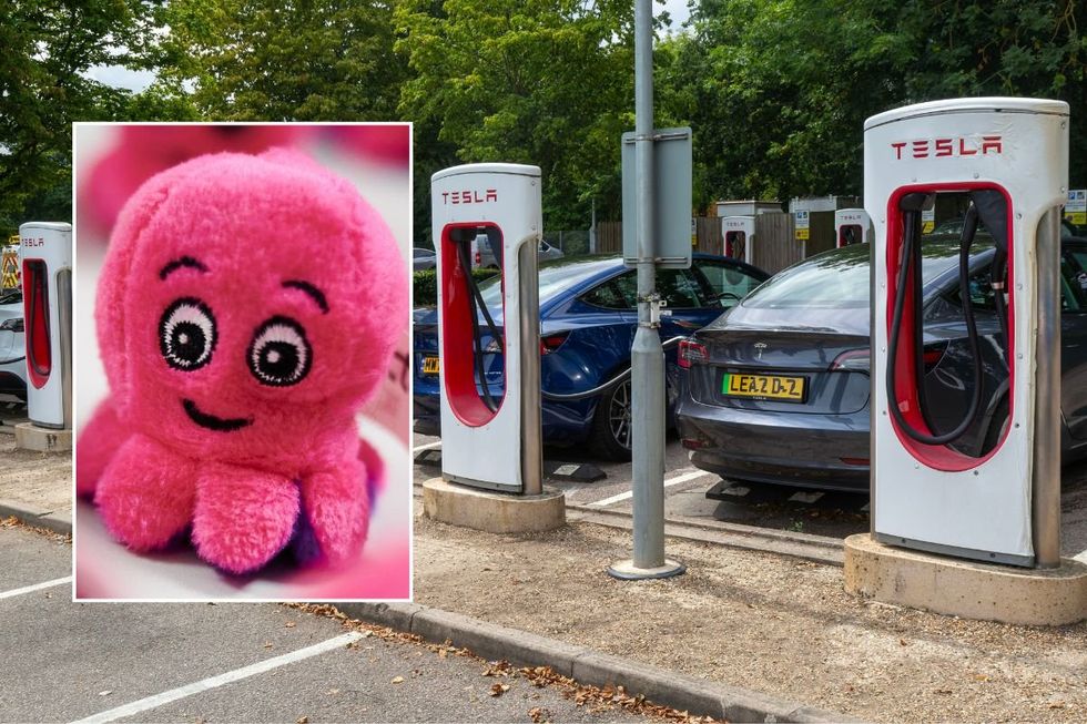 Octopus Energy logo and a group of Tesla electric vehicles charging