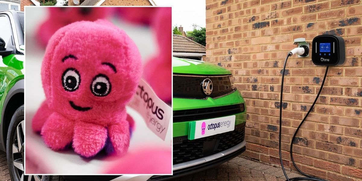 Octopus launches new service to help drivers switch to electric cars and make EVs a ‘no-brainer’ Octopus launches new service to help drivers switch to electric cars and make EVs a ‘no-brainer’