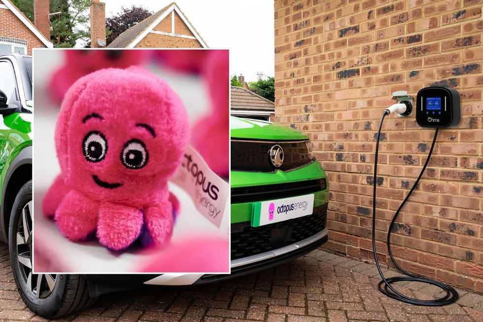 Octopus Energy logo and a Vauxhall