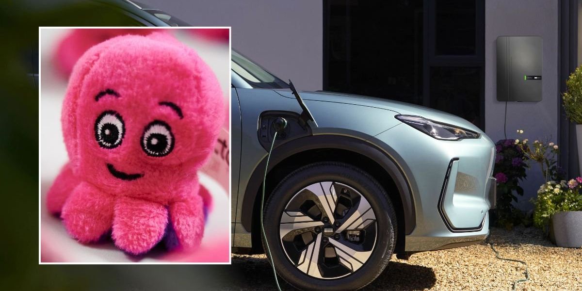 Octopus Energy launches major new offer as homeowners can charge electric cars for free Octopus Energy launches major new offer as homeowners can charge electric cars for free