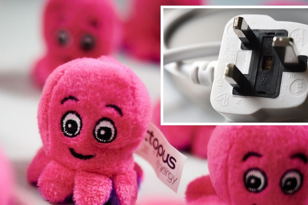 Octopus Energy merchandise and electricity plug