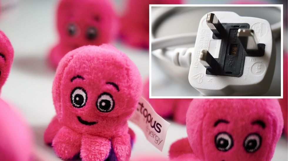 Octopus Energy announces new rewards and ‘surprise’ chance for 1 million to get money off energy bills