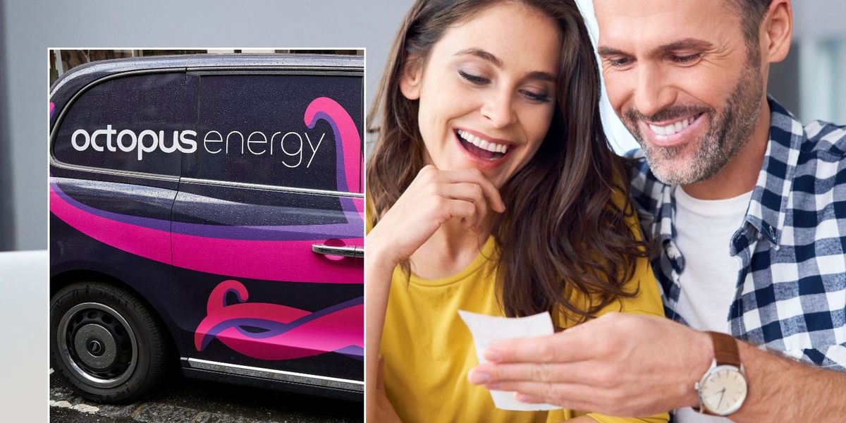 Octopus Energy offers new zero bills tariff guaranteeing ‘no energy bills for 10 years’ Octopus Energy offers new zero bills tariff guaranteeing ‘no energy bills for 10 years’