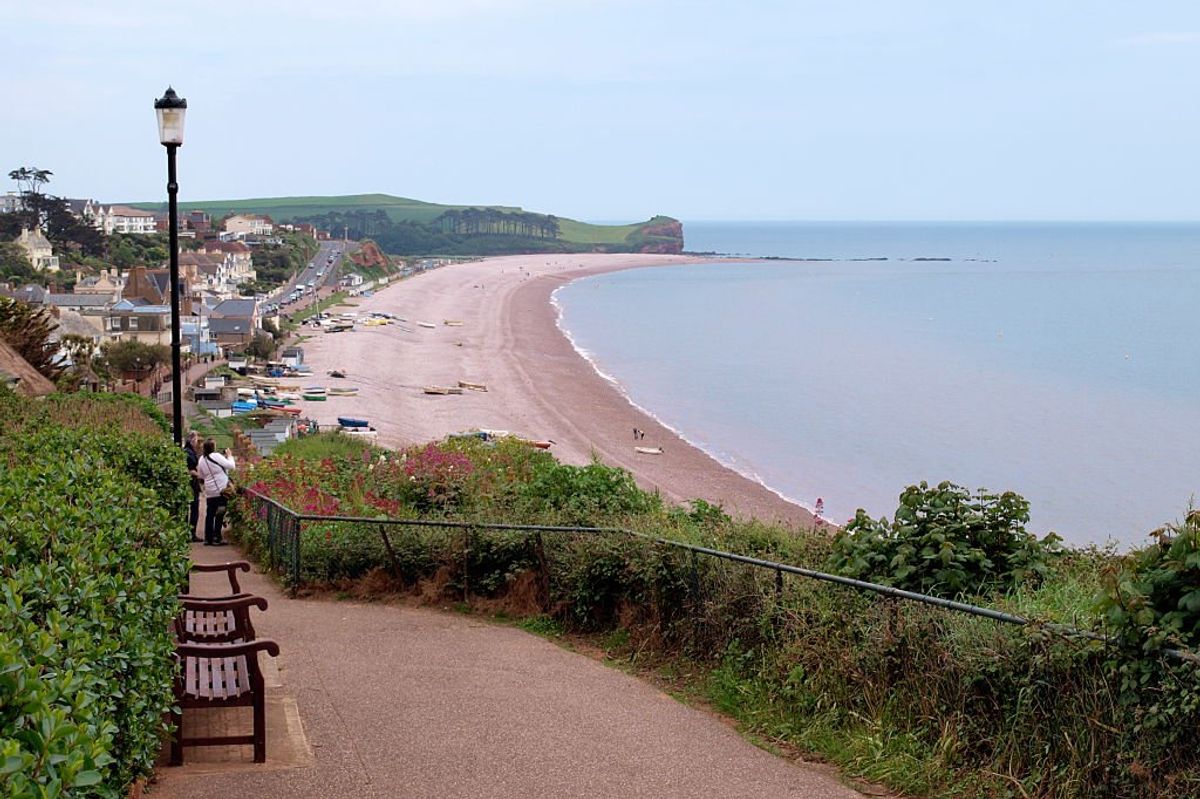 Officers were called to Budleigh Salterton