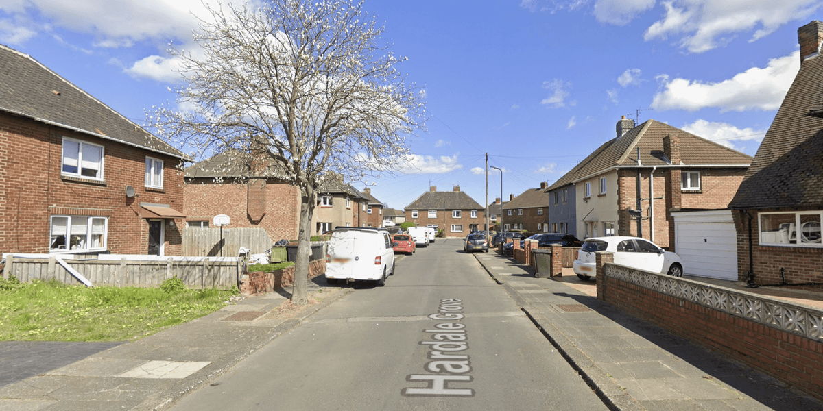 Man arrested after baby mauled to death by dog in quiet cul-de-sac Man arrested after baby mauled to death by dog in quiet cul-de-sac