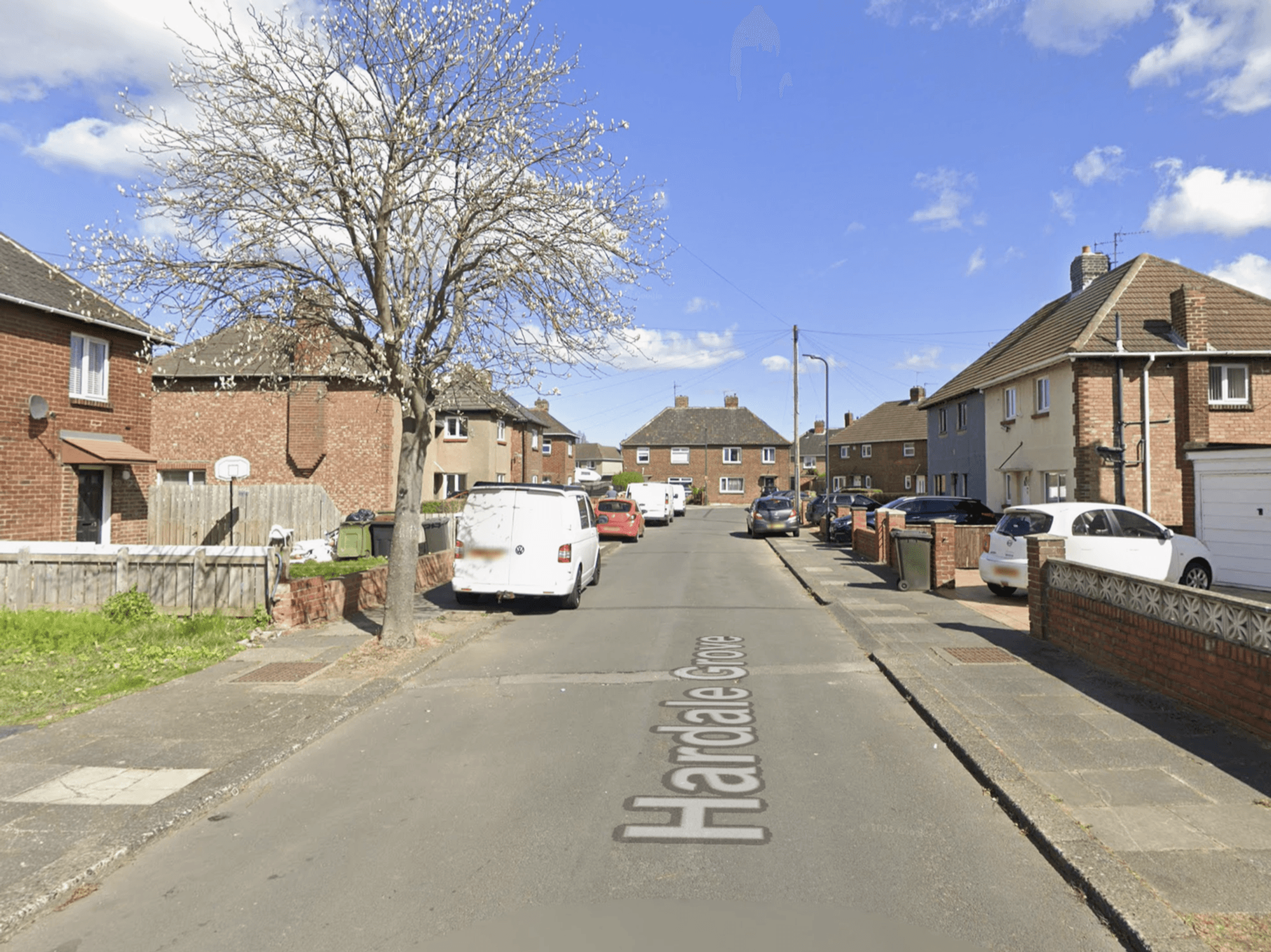 Man arrested after baby mauled to death by dog in quiet cul-de-sac