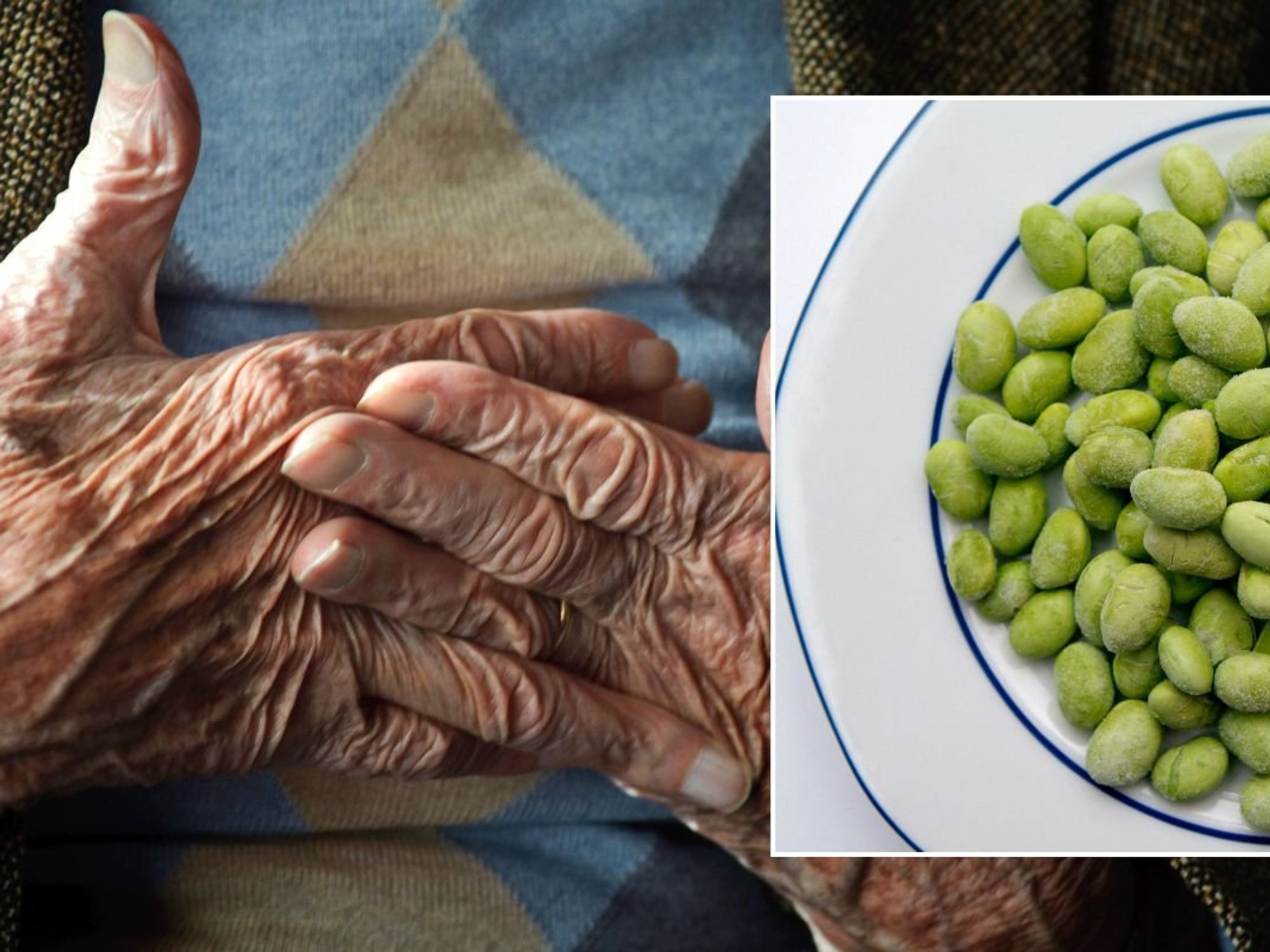 OLD HANDS AND FROZEN EDAMAME BEANS