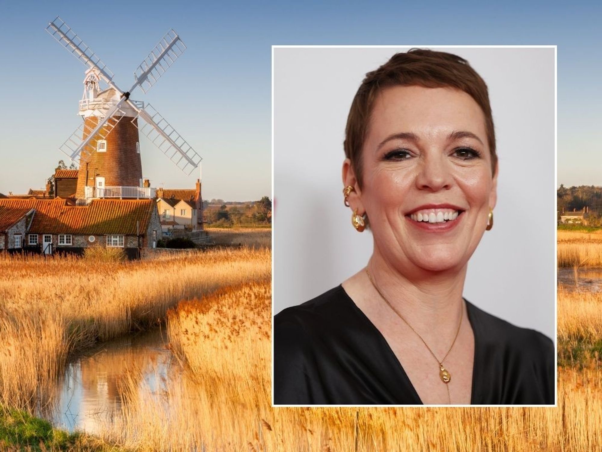 olivia colman portrait and norfolk field
