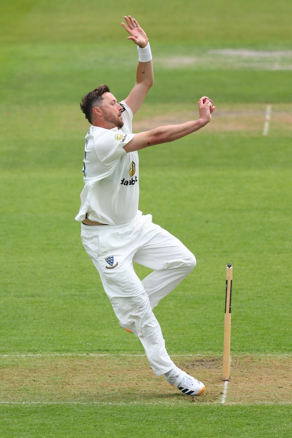 Ollie Robinson has been in sensational form for Sussex