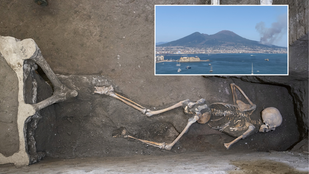 One of the skeletons discovered