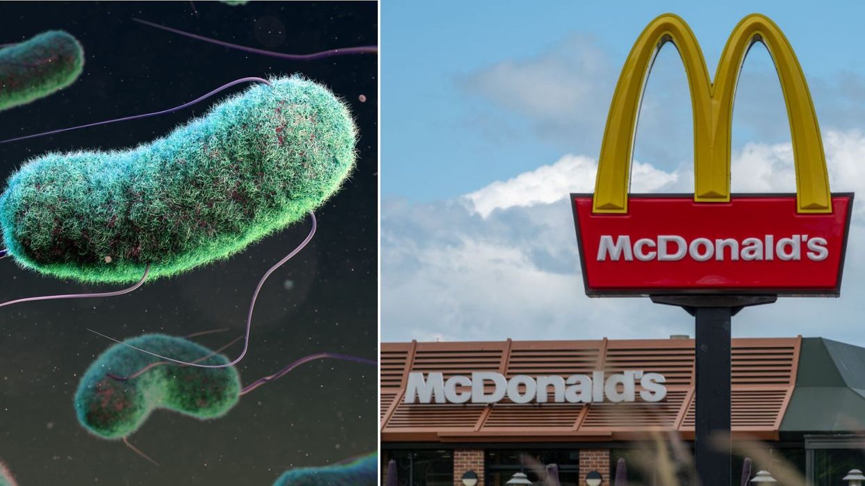 McDonald's linked with major E Coli outbreak after one dead and 10 hospitalised