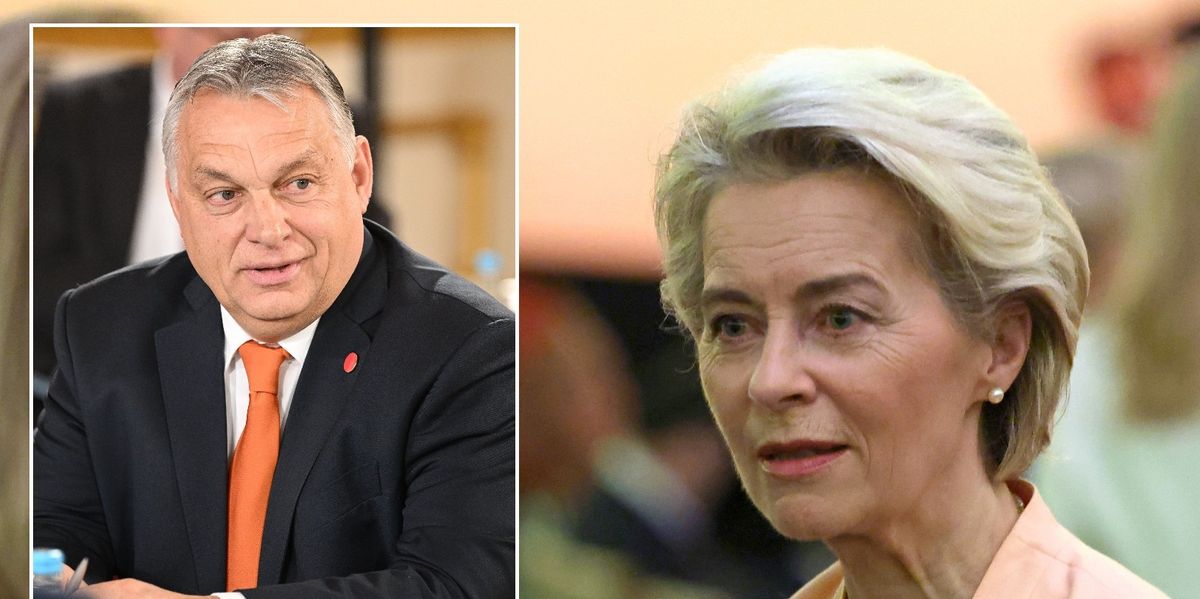 NextImg:VDL's humiliating defeat as troublemaker Viktor Orban handed £8.5 BILLION in EU funding