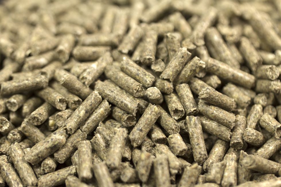 Organic chicken pellets