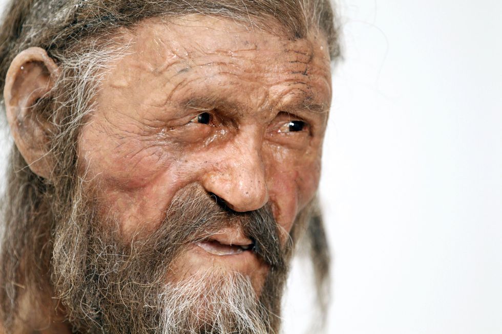 Otzi the Iceman