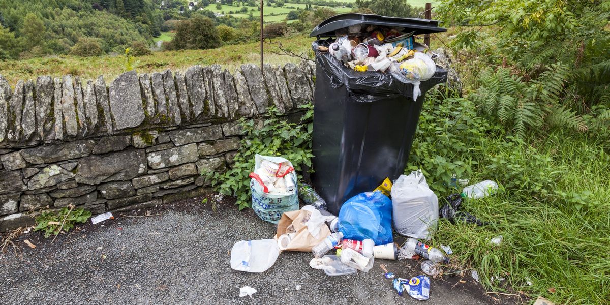 NextImg:Belfast news: Council row erupts after binmen refuse to empty overfilled bins - 'Another stupid little rule!'