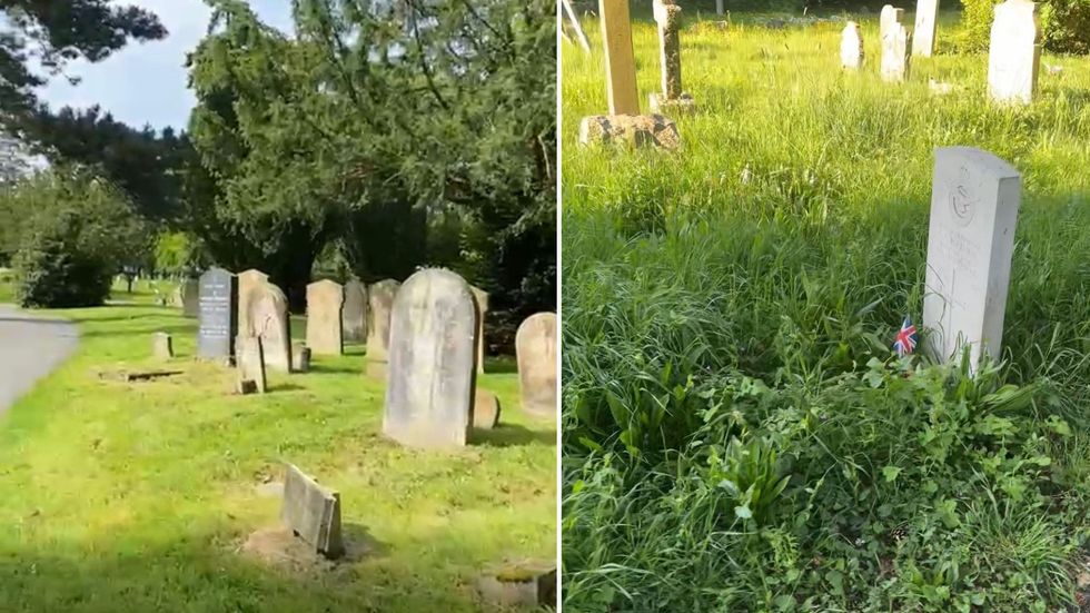 Overgrown war graves