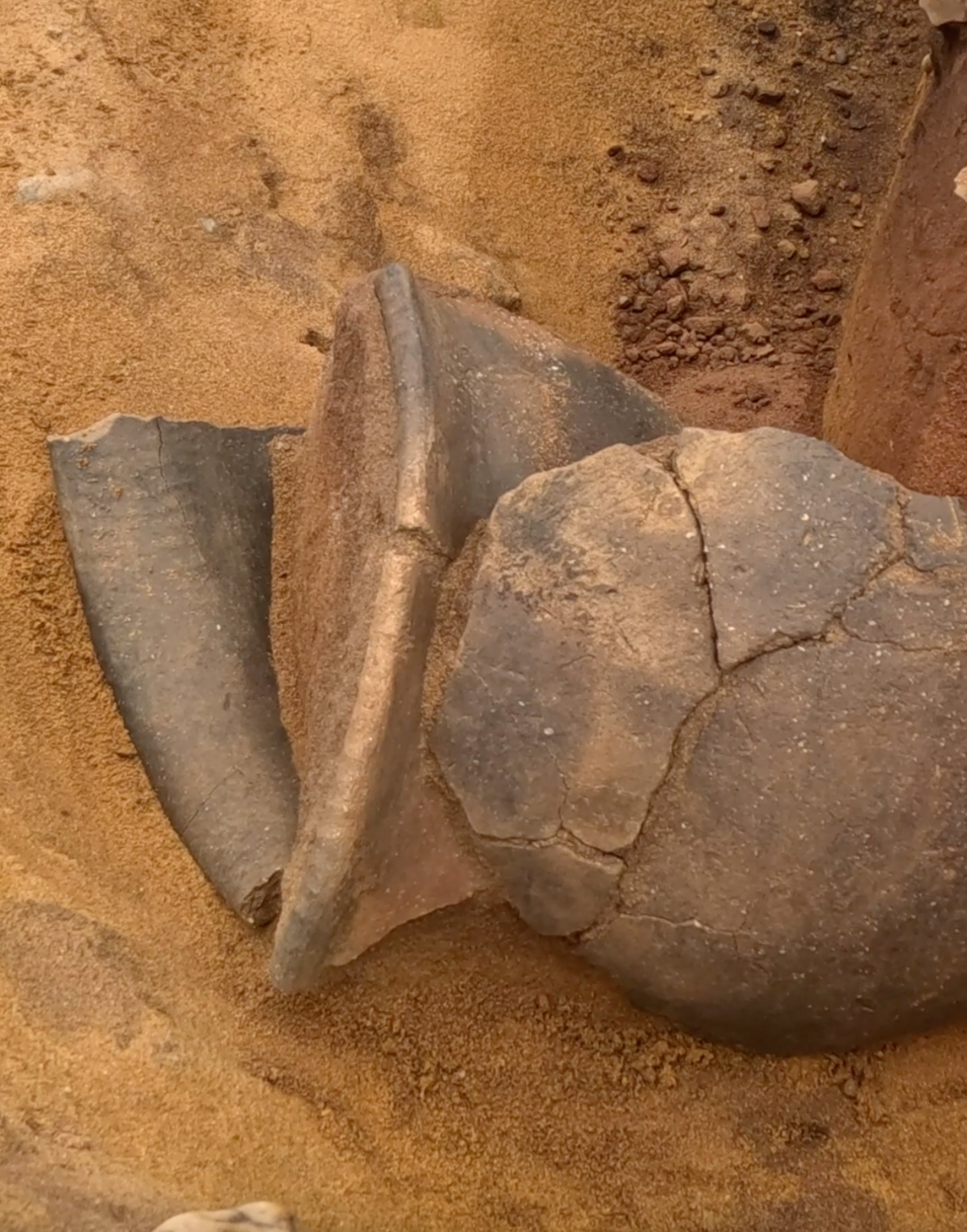 Oxford Cotswold Archaeology team