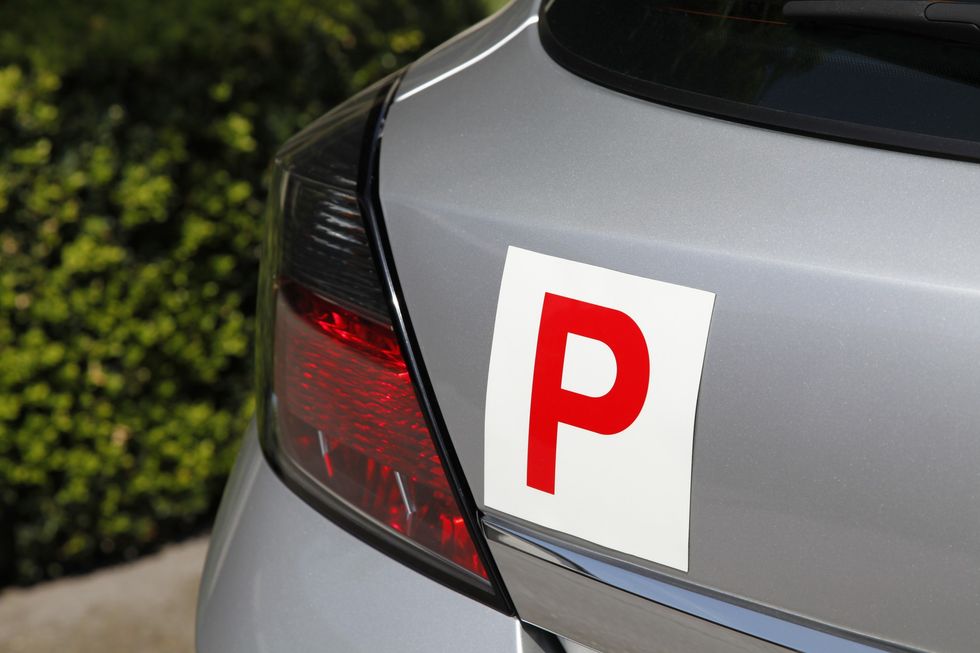 P plates on car