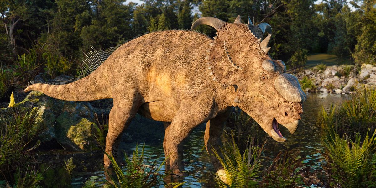 NextImg:Palaeontologists unearth mysterious mass dinosaur grave filled with thousands of bones - 'River of Death'