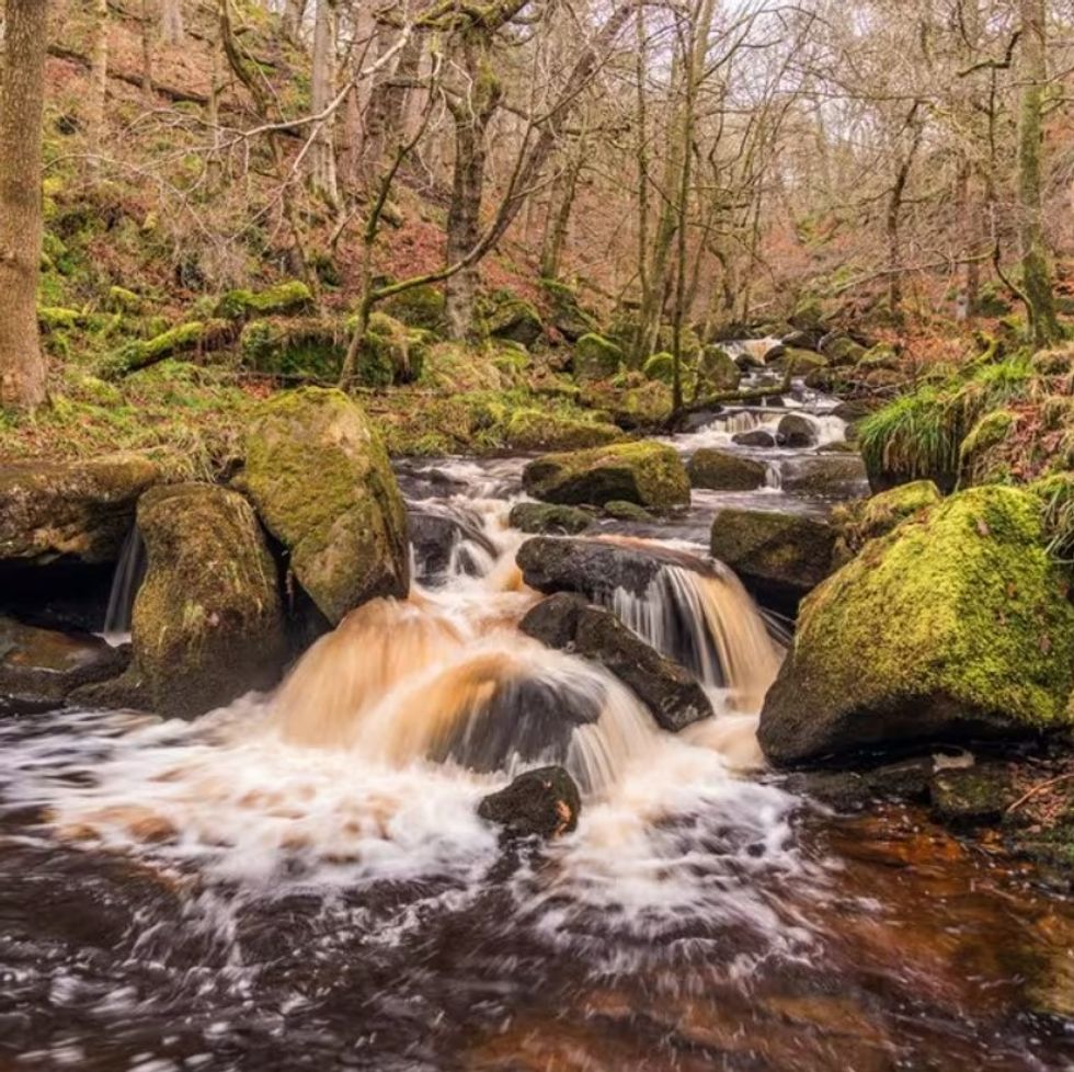Padley Gorge, Peak District