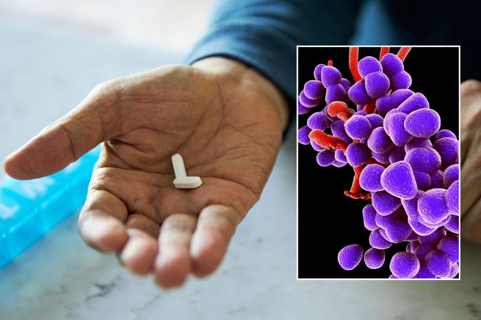 painkiller in hand and antibiotic resistant bug