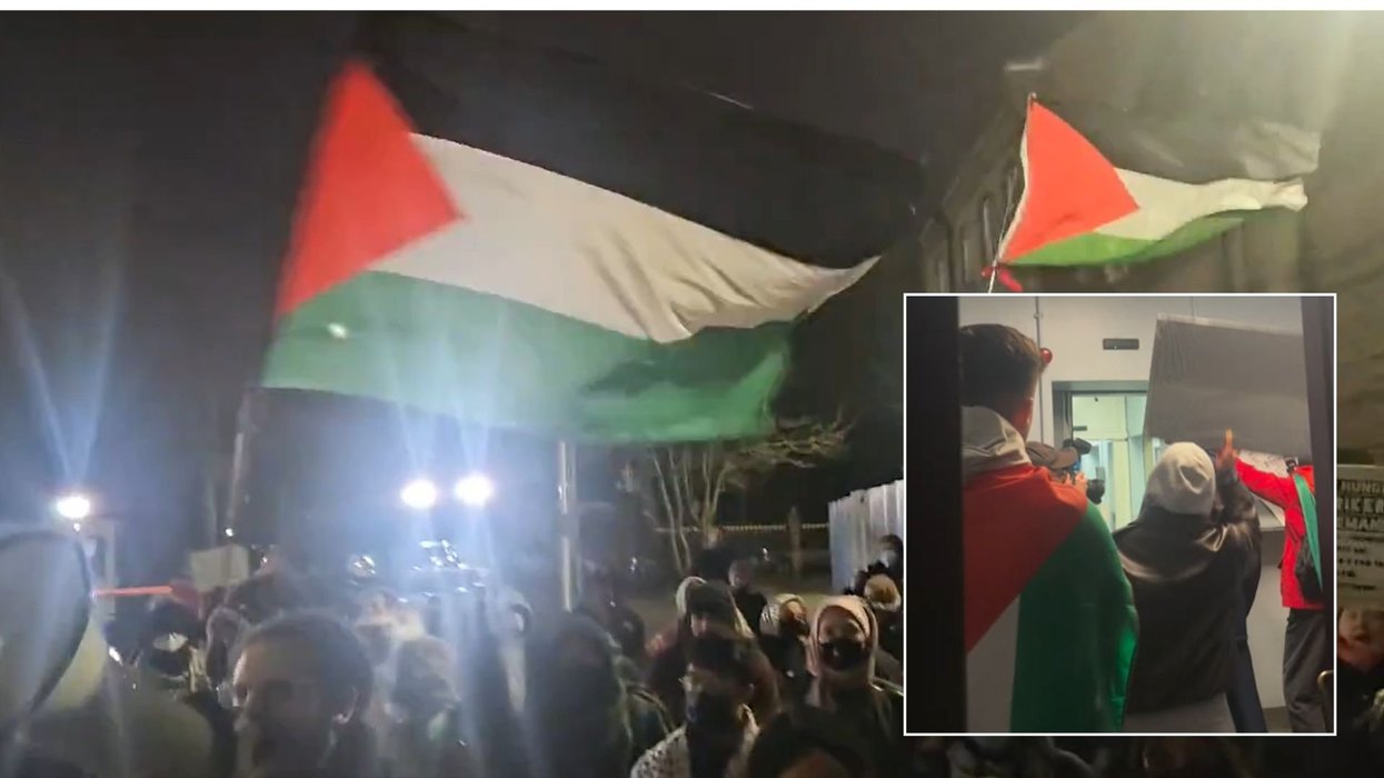 Palestine Action activists