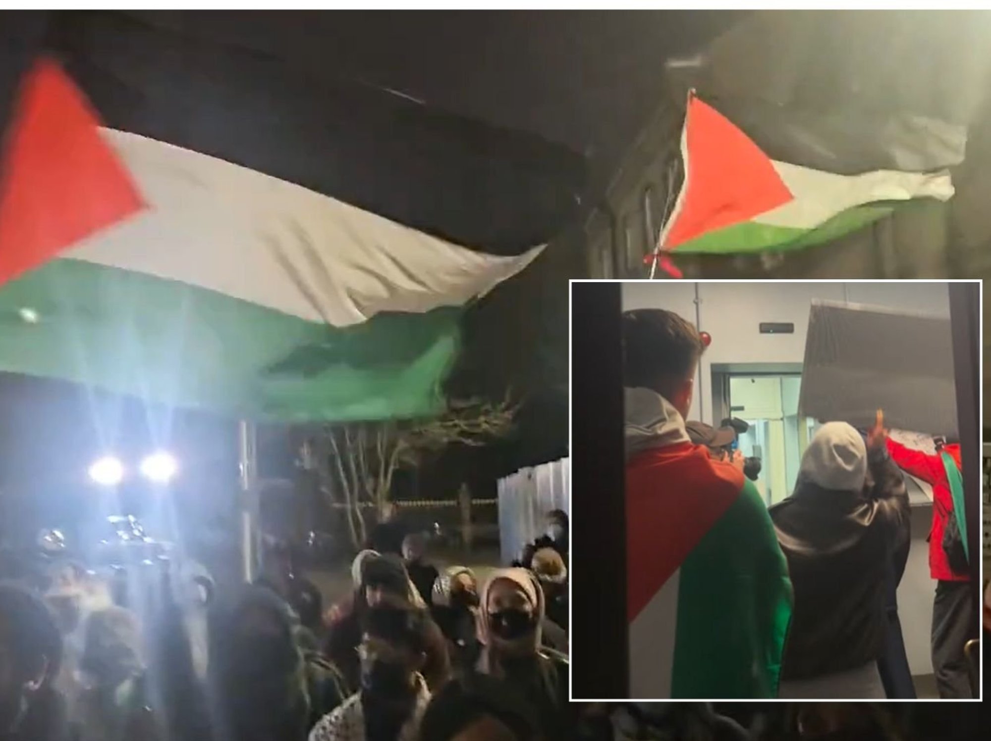 Palestine Action activists