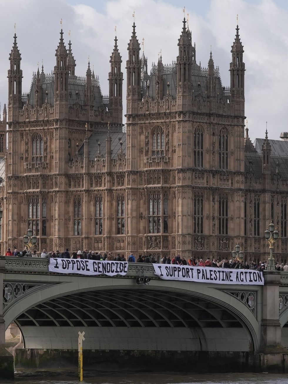Palestine Action banner