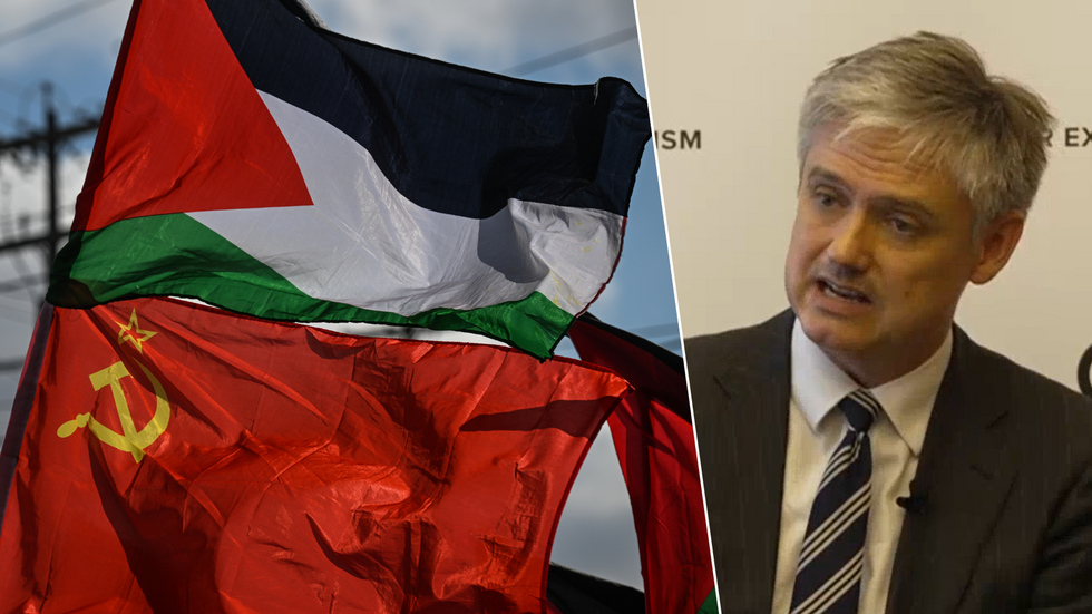 Palestine and Soviet flags/Lord Walney
