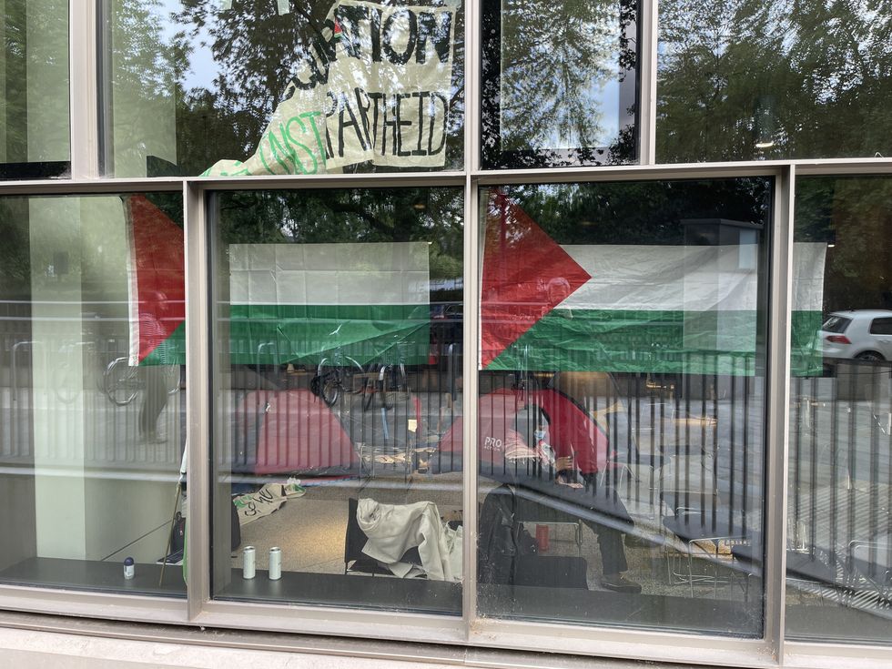 Palestine flags at LSE