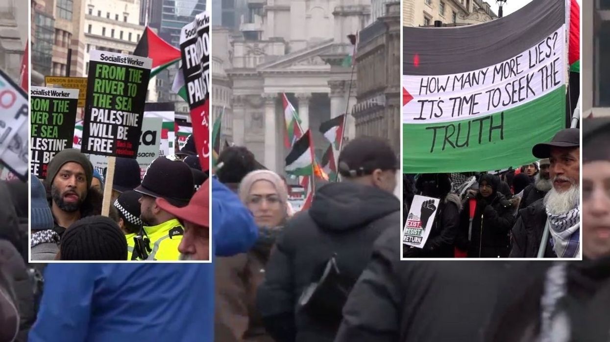 Palestine protesters