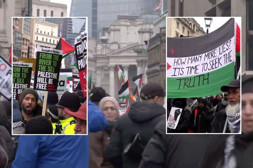 Palestine protesters